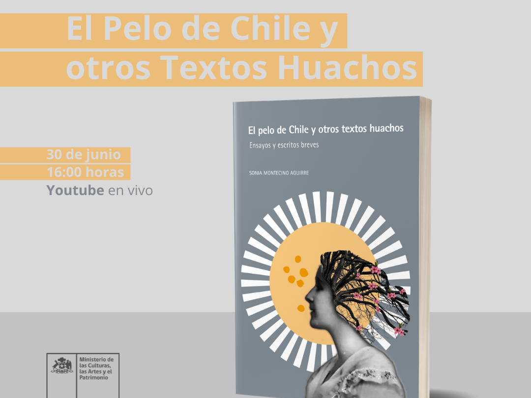 Libro El Pelo de Chile y otros Textos Huachos