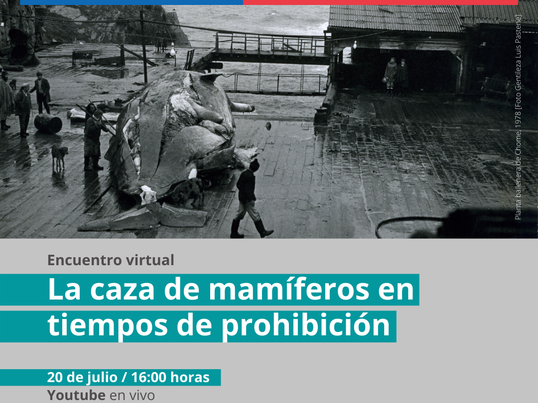 Invitación encuentro virtual "La caza de mamíferos en tiempos de prohibición "