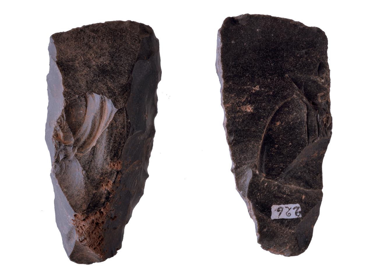 Azuela o Toki de obsidiana con sección trapezoidal, con enmangue, filo recto y presencia de corteza