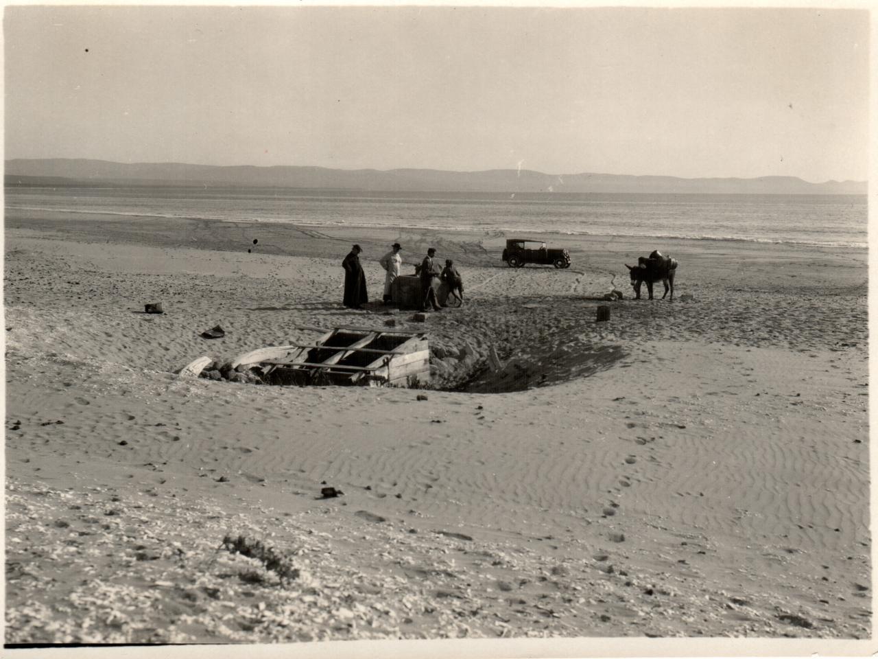 Postura con burros en la playa de Tongoy