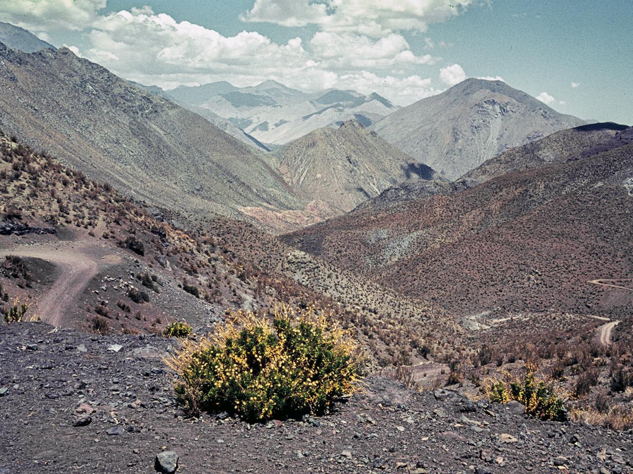 Vista del camino en el secano que une los valles de Elqui y Río Hurtado