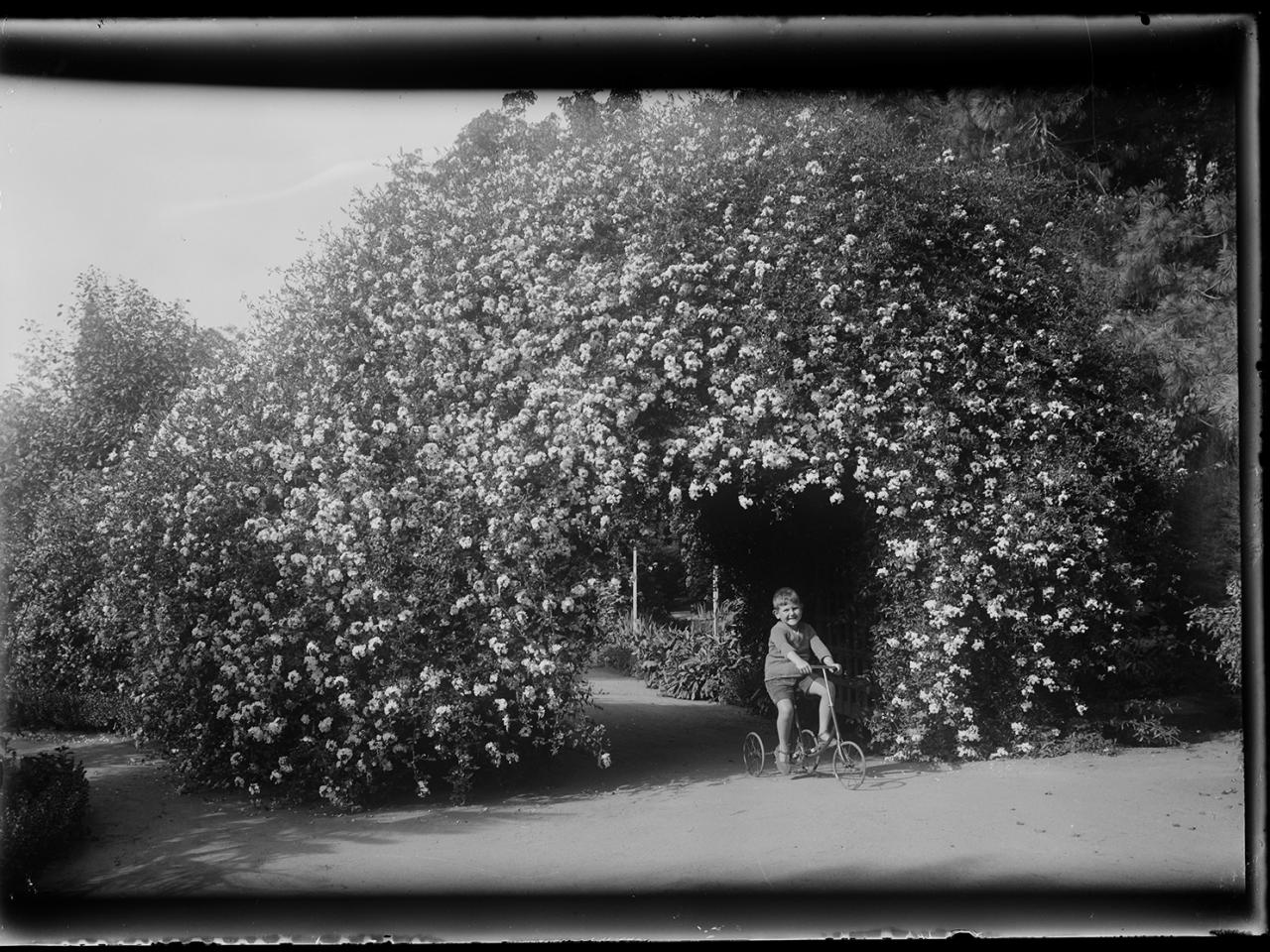 Retrato de un niño en triciclo