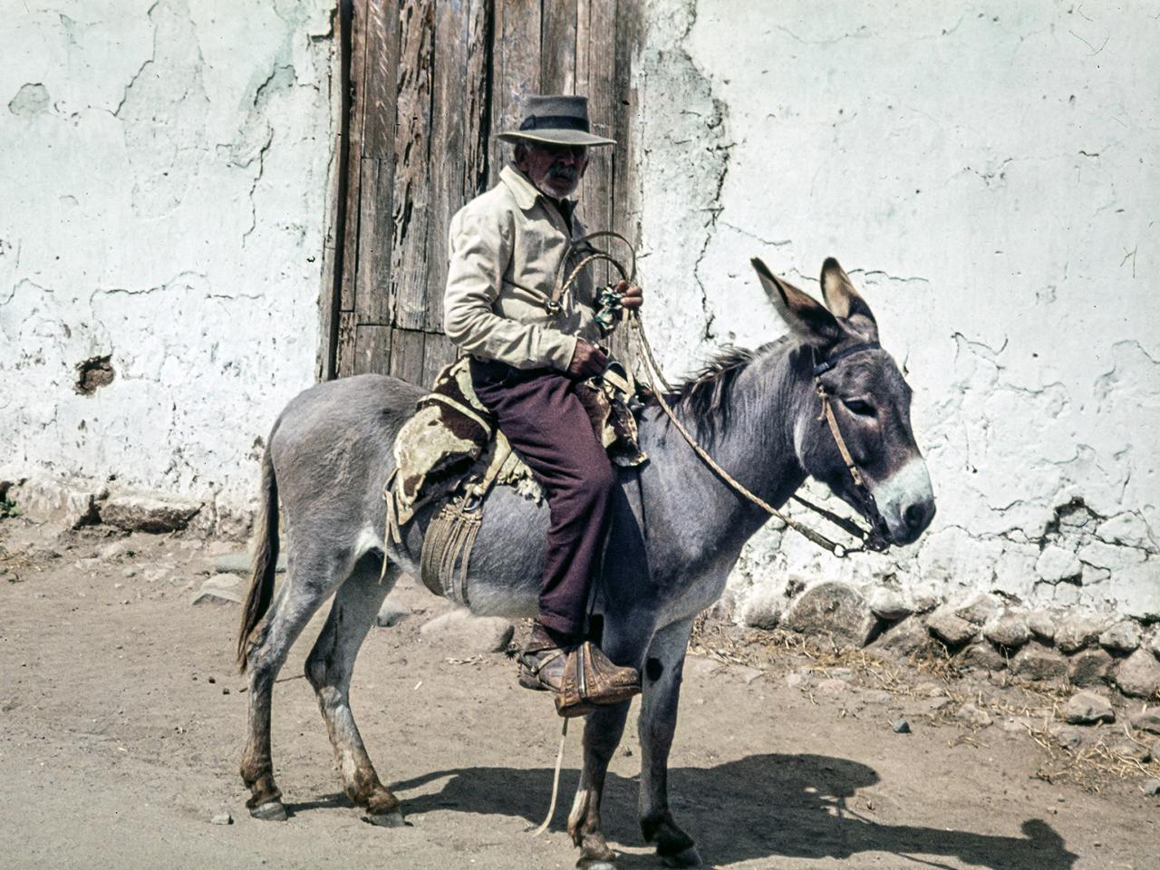 Hombre andando en burro