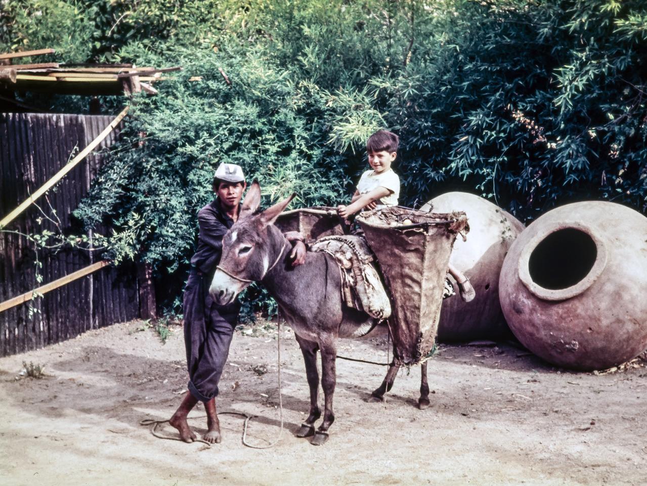 Joven junto a su burro con árguenas