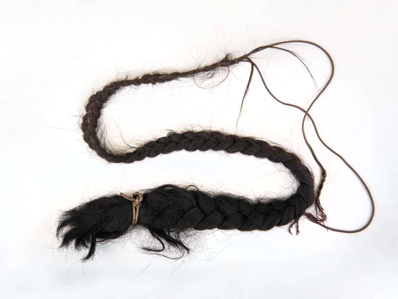 Pelo