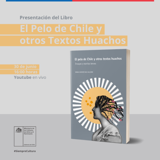 Libro El Pelo de Chile y  otros Textos Huachos