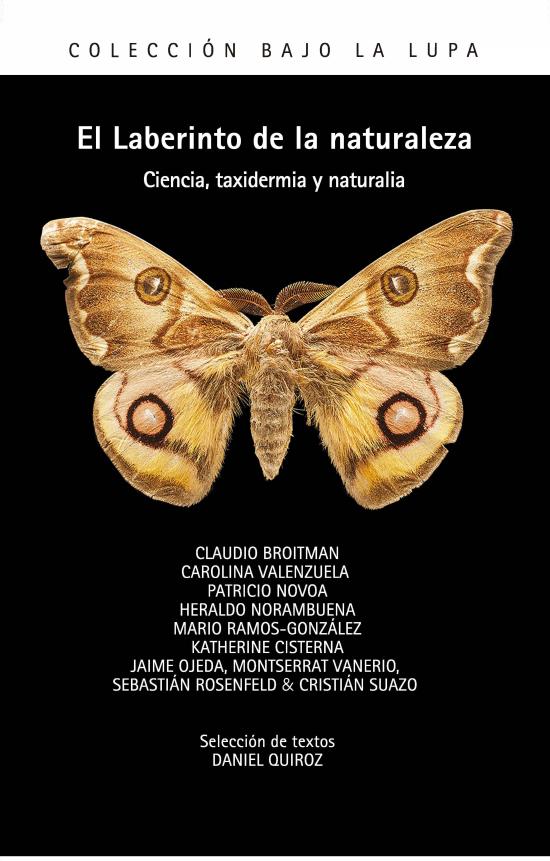 Portada El Laberinto de la Naturaleza. Ciencia, taxidermia y naturalia.