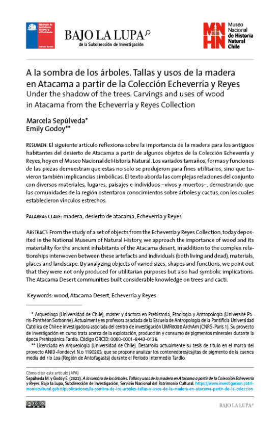 A la sombra de los árboles. Tallas y usos de la madera en Atacama a partir de la Colección Echeverría y Reyes del Museo Nacional de Historia Natural