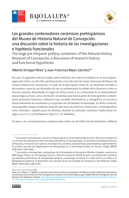 Los grandes contenedores cerámicos prehispánicos del Museo de Historia Natural de Concepción: una discusión sobre la historia de las investigaciones e hipótesis funcionales