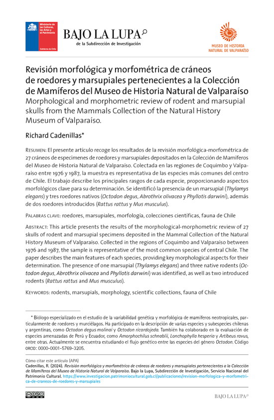 Revisión morfológica y morfométrica de cráneos de roedores y marsupiales pertenecientes a la Colección de Mamíferos del Museo de Historia Natural de Valparaíso