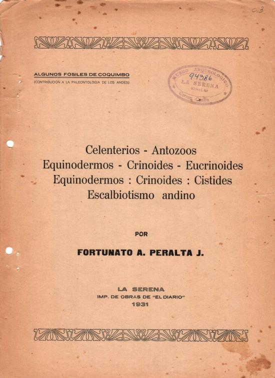 Algunos fósiles de Coquimbo