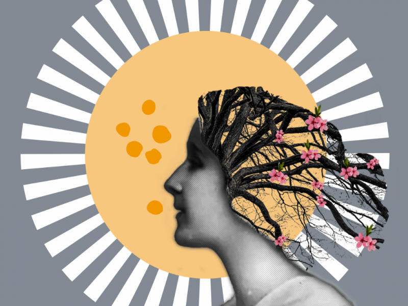 Foto portada del libro El pelo de Chile y otros textos huachos