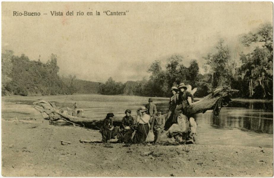 Vista del río Bueno desde La Cantera, Chile.