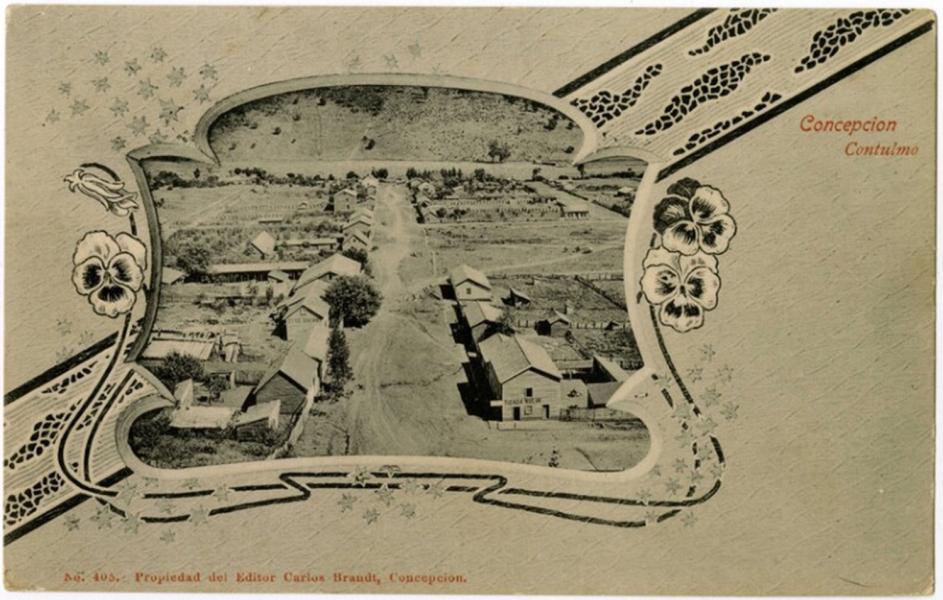 Concepción, Contulmo, Chile (1900-1909)