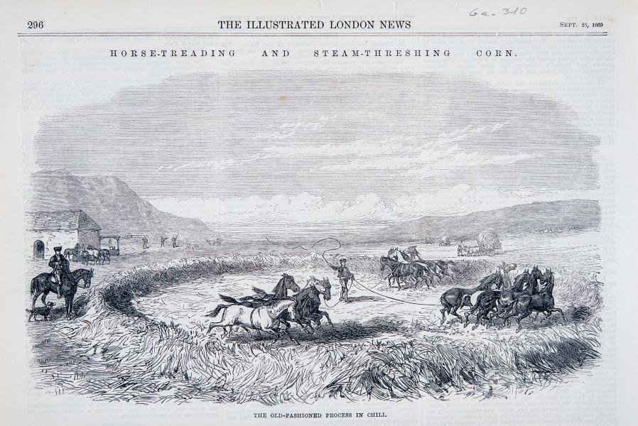 Horse-Treading and Steam-Treshing Corn. The Old-Fashioned Process in Chili. La Trilla; The New Threshing-Machine in Chili. Horse-Treading and Steam-Treshing Corn. The Old-Fashioned Process in Chili. La Trilla; The New Threshing-Machine in Chili.