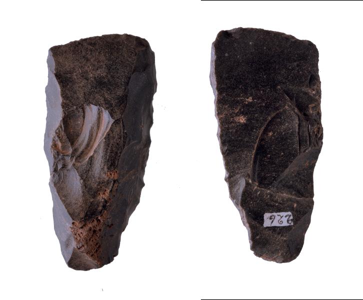 Azuela o Toki de obsidiana con sección trapezoidal, con enmangue, filo recto y presencia de corteza