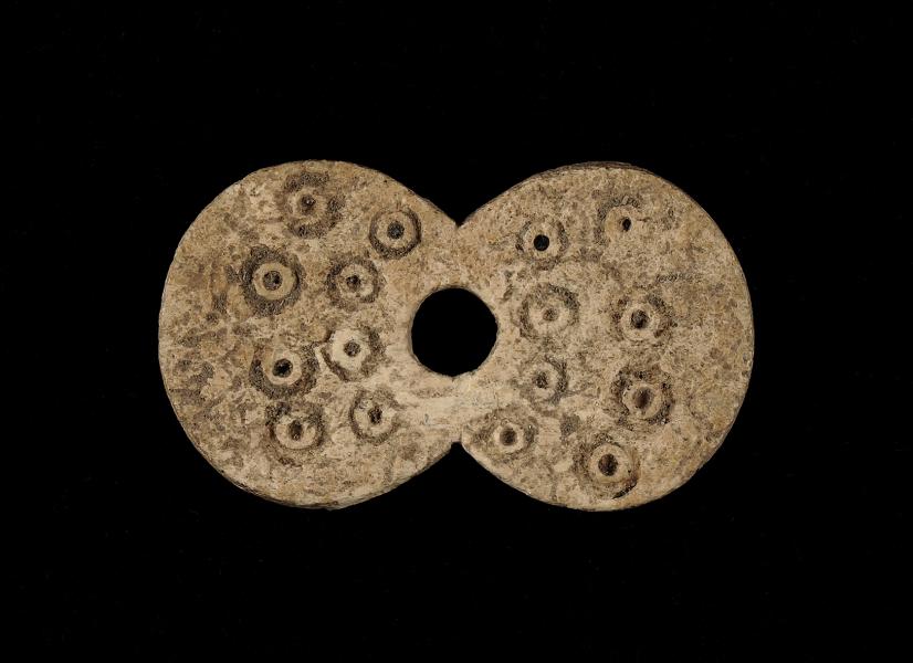 Tortera bicircular (cara superior) Tortera bicircular (cara superior)