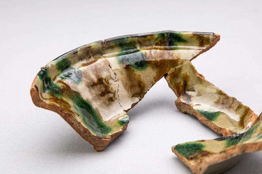 Detalle del esmalte y la pasta