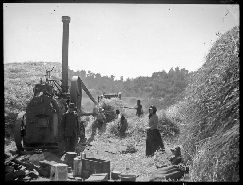 Trilla en Los Carrizos (c. 1930) Trilla en Los Carrizos (c. 1930)