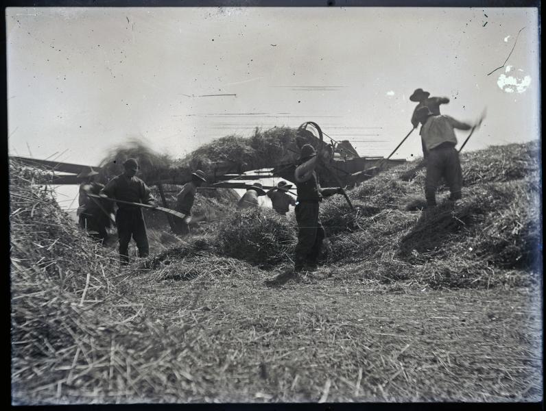 Trilla en Los Carrizos (c. 1930)