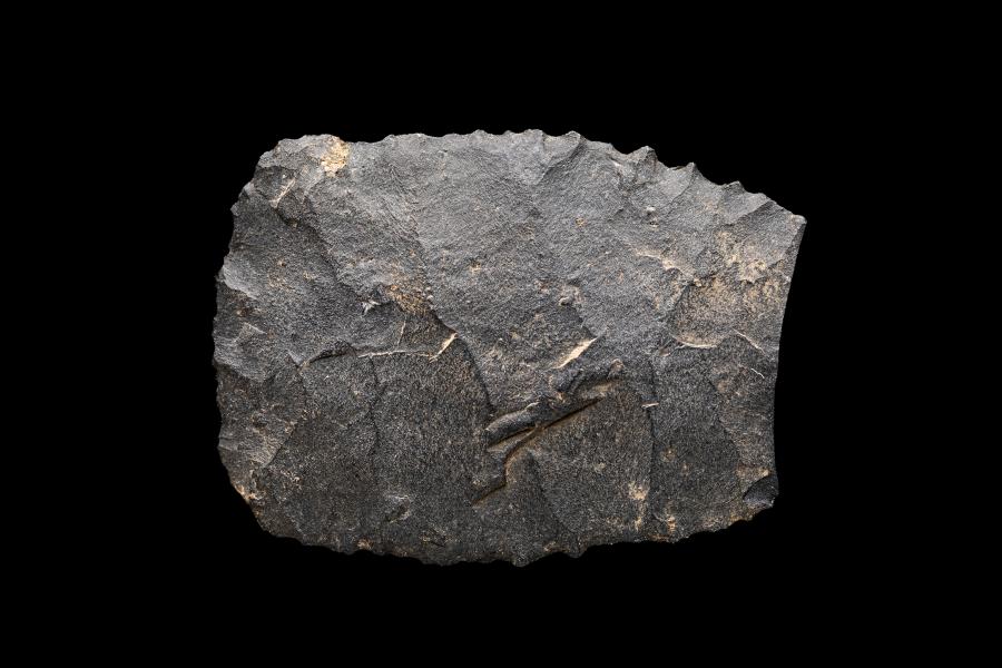 Punta de proyectil fragmentada en andesita