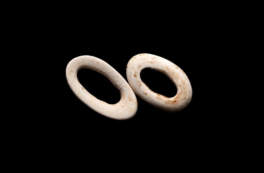 Cuentas malacológicas