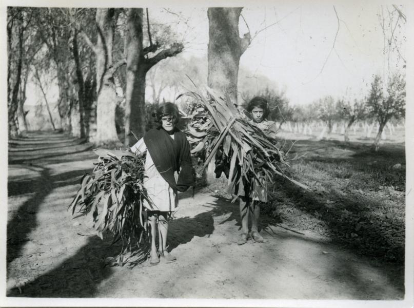 Niñas cargando ramas en el parque de la Compañía Alta