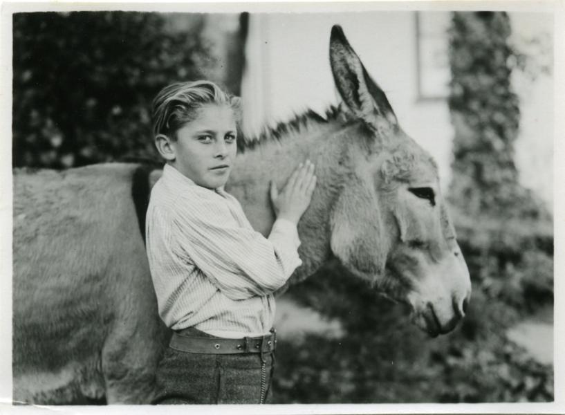 Niño acariciando un burro