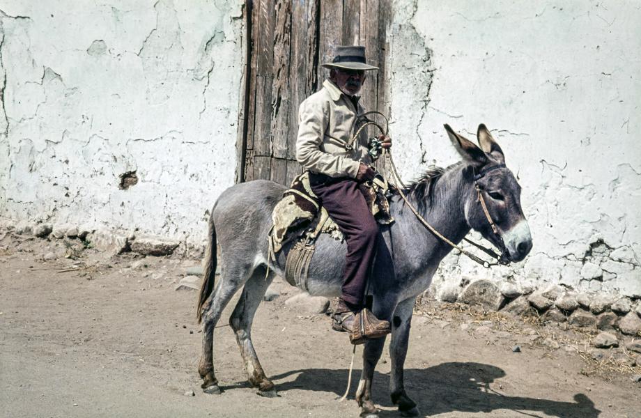 Hombre andando en burro Hombre andando en burro