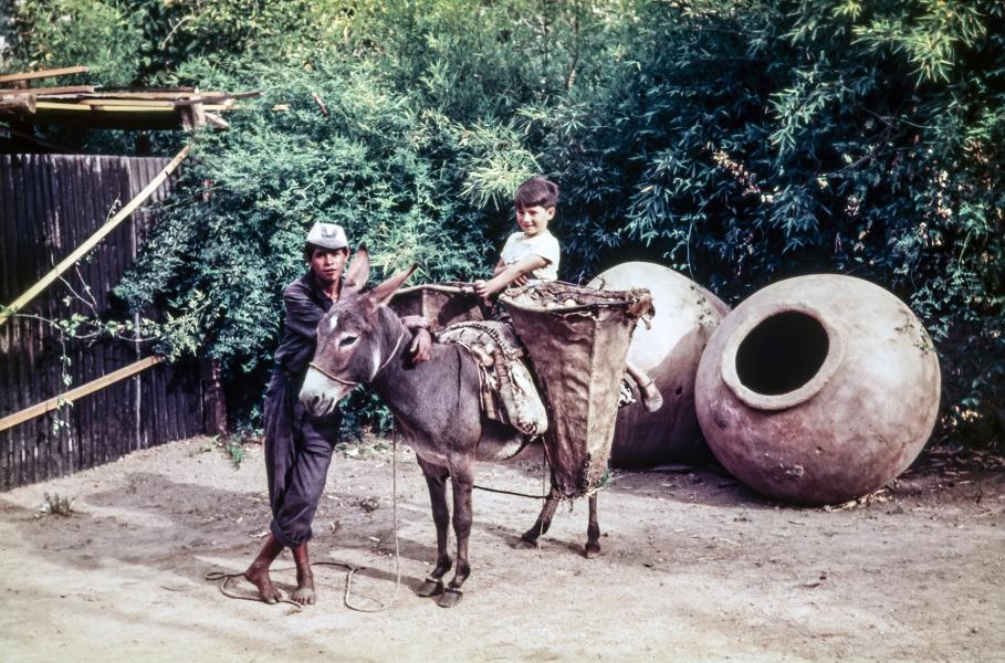 Joven junto a su burro con árguenas Joven junto a su burro con árguenas