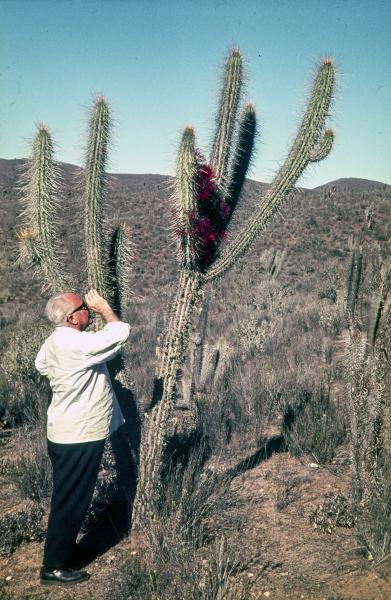 Pablo Diehl mirando la flor del quintral