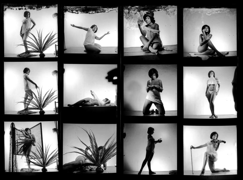 Vedettes Beatriz Laudet, Dinna Dorr y Beatriz Eleta