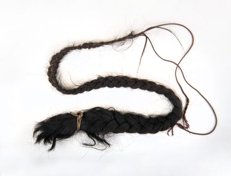 Pelo